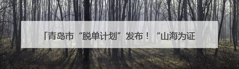 青岛市“脱单计划”发布！“山海为证 团聚幸福”青年交友联谊活动浪漫开启